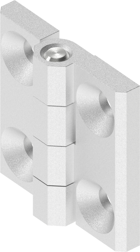 Cerniera 180°, acciaio inox AISI 316 lucido brillante