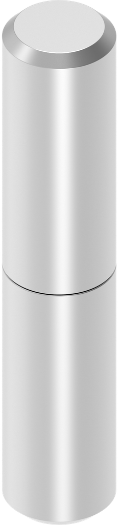 Aanlaspaumelle, RVS 304 onbehandeld